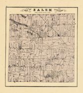 Salem Township, Washtenaw County 1874